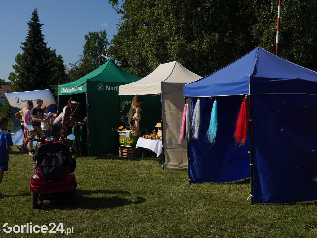 Piknik rodzinny przy remizie OSP Wysowa-Zdrój