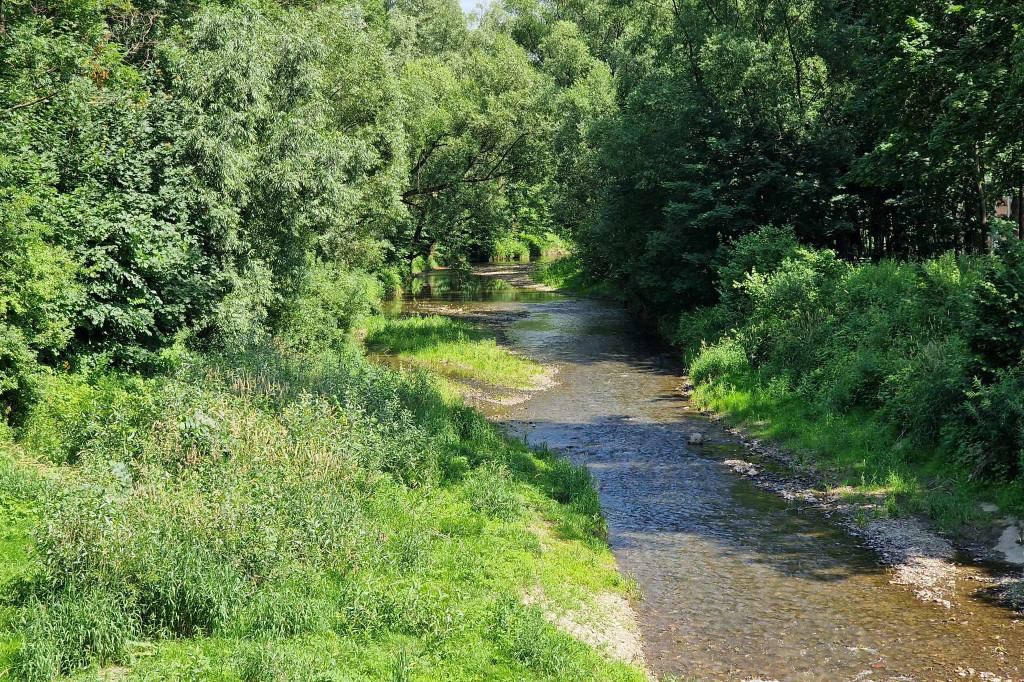 Sękówka.  Próg wodny i dawne kąpielisko