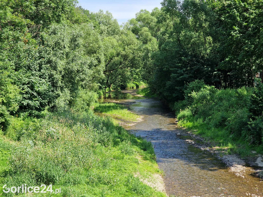 Sękówka.  Próg wodny i dawne kąpielisko