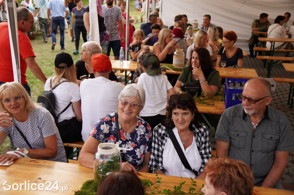 Festiwal Win na otwarciu Parku w Siarach (21.07.)