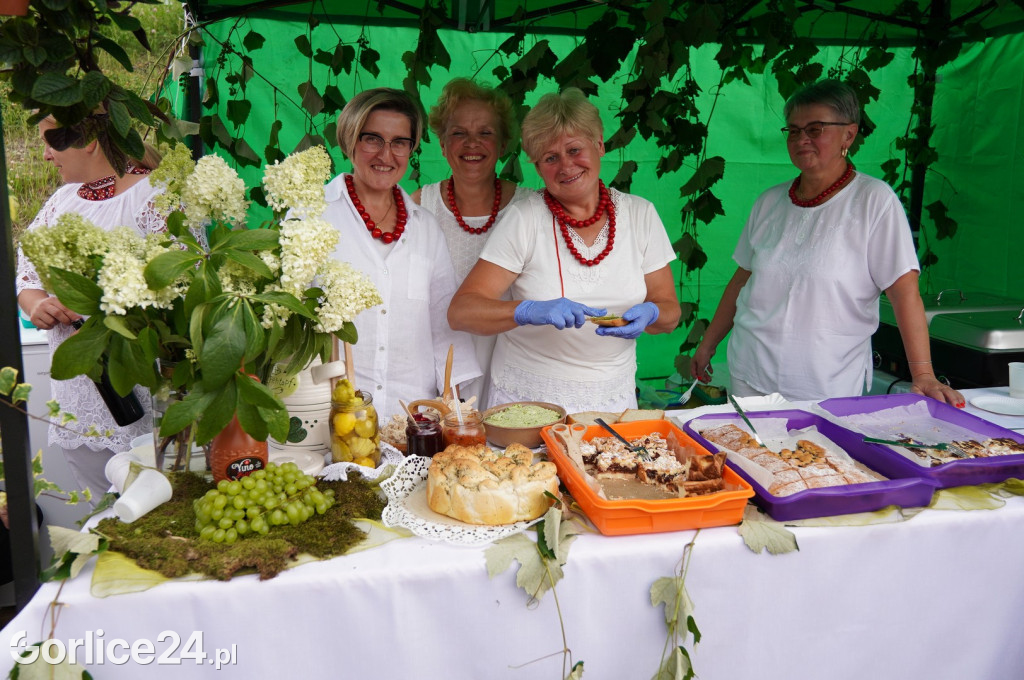 Festiwal Win na otwarciu Parku w Siarach (21.07.)