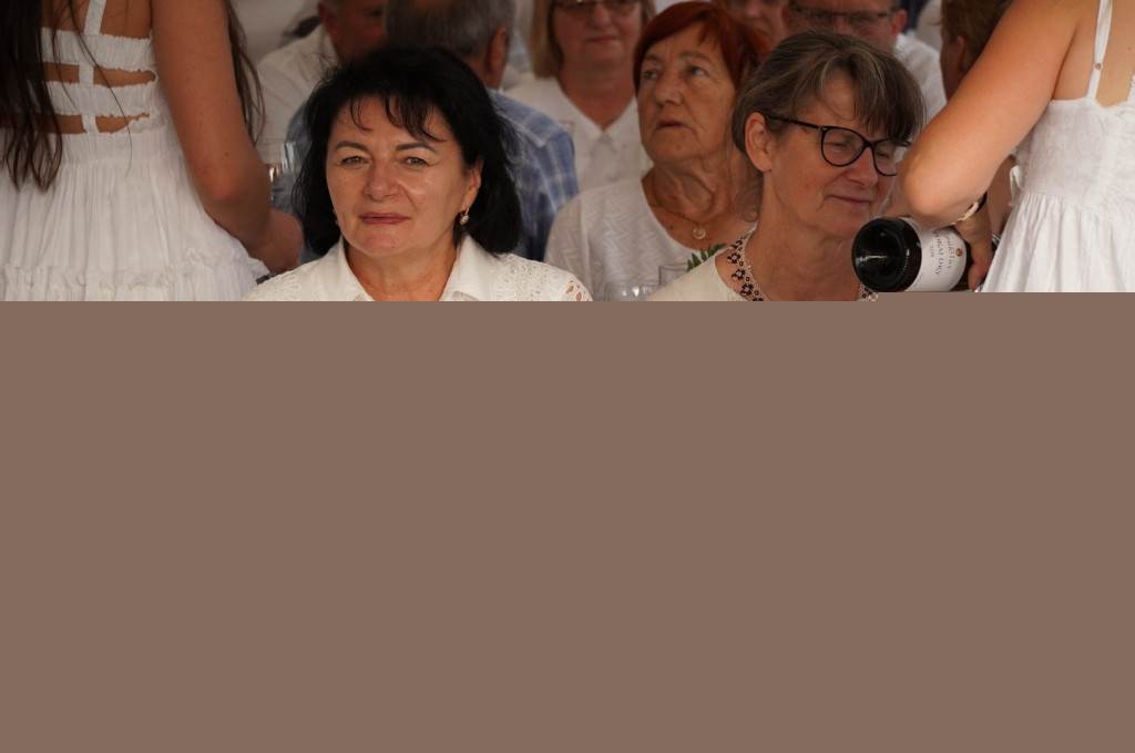 Festiwal Win na otwarciu Parku w Siarach (21.07.)