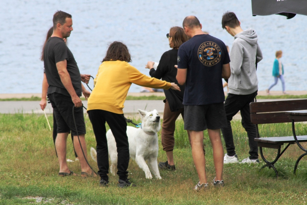 Klimkówka. Piknik służb mundurowych
