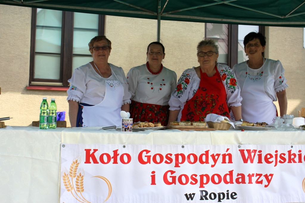 Klimkówka. Piknik służb mundurowych