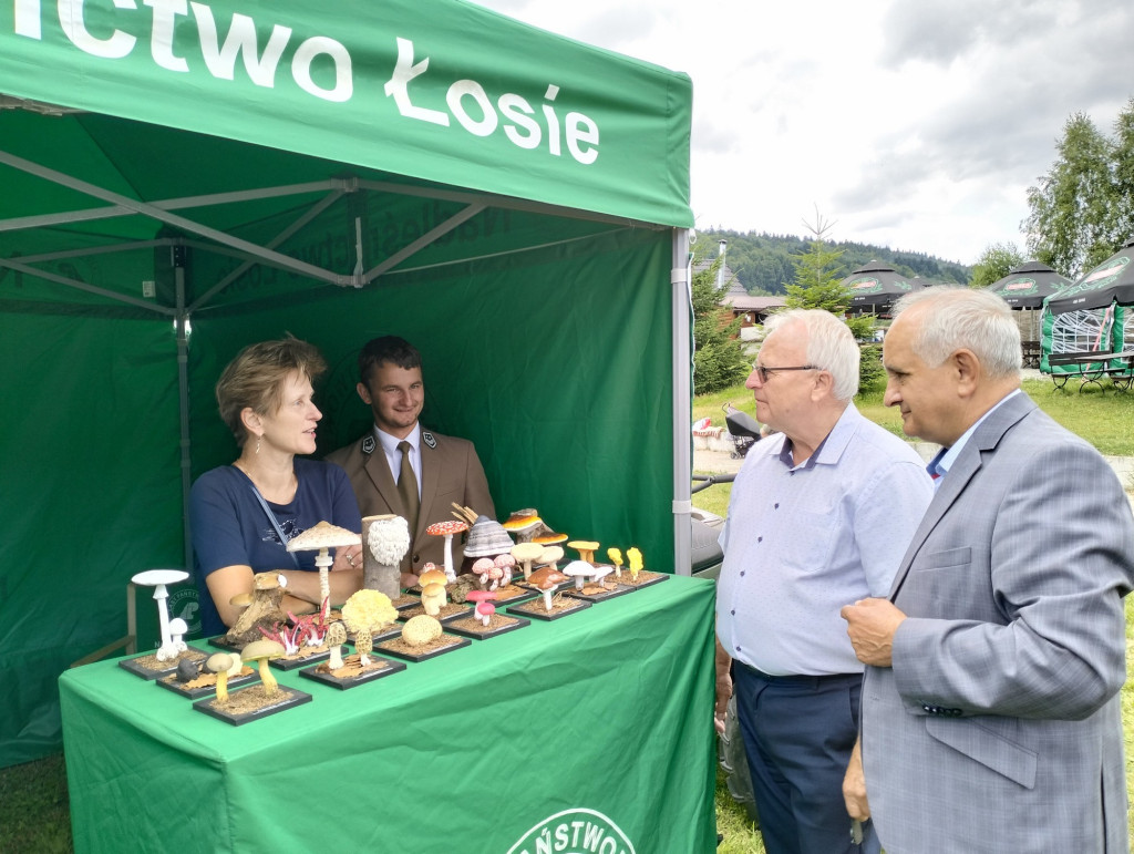 Klimkówka. Piknik służb mundurowych
