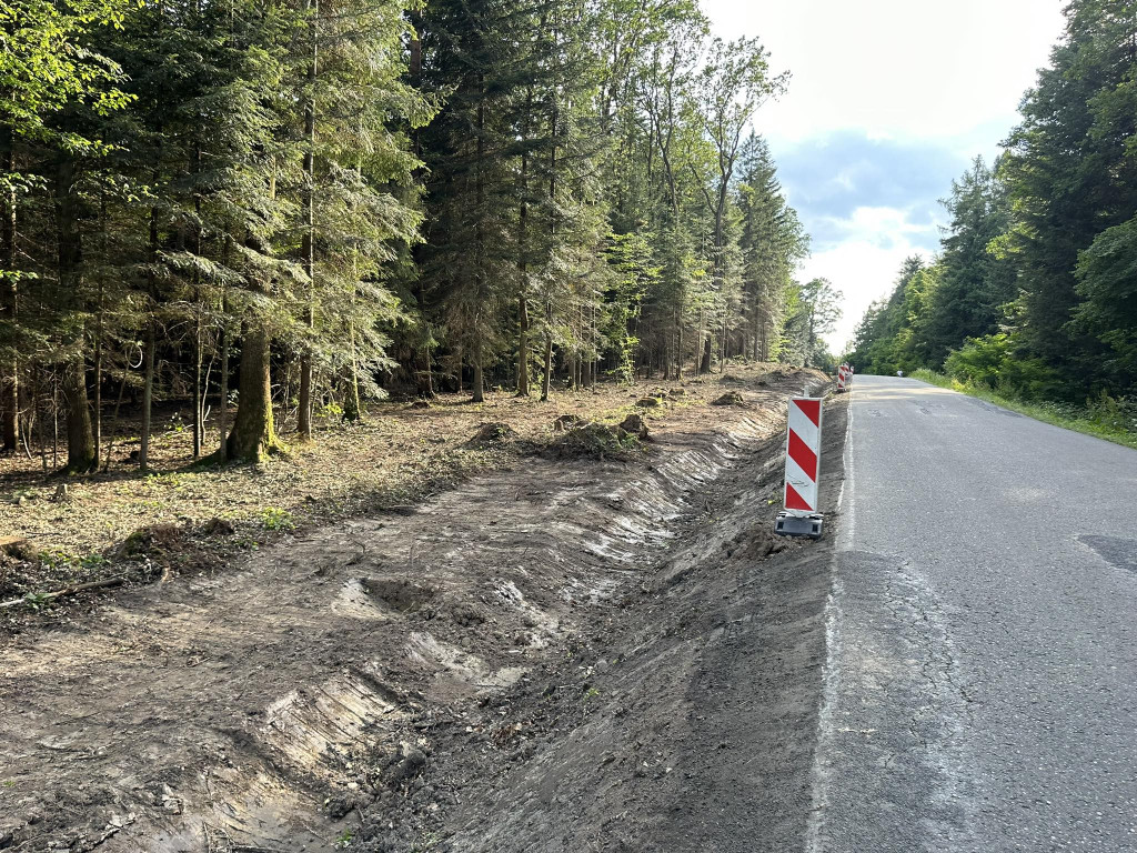 Ścieżka pieszo-rowerowa w Kobylance