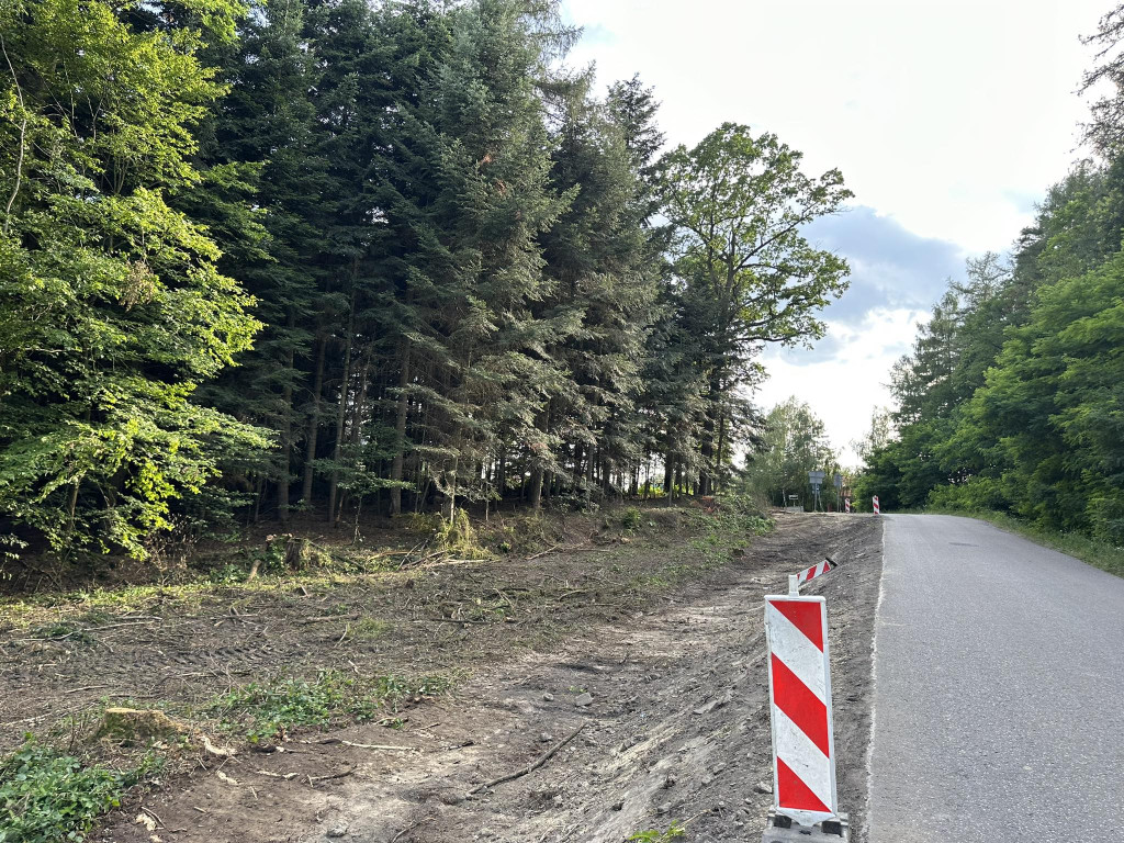Ścieżka pieszo-rowerowa w Kobylance