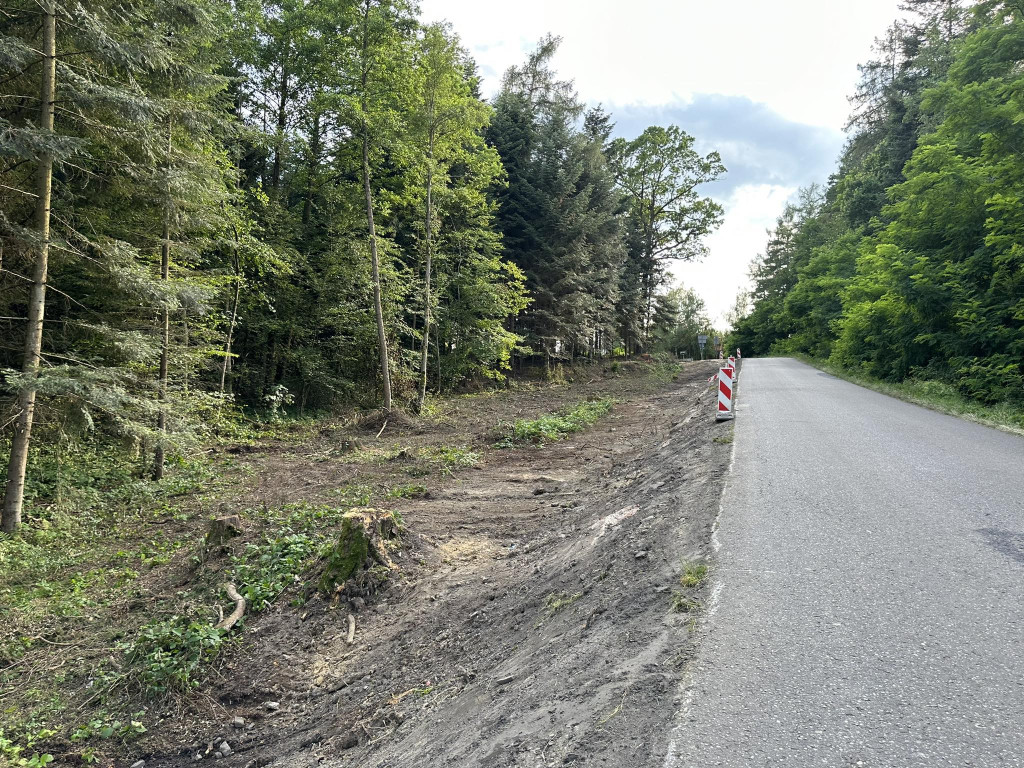 Ścieżka pieszo-rowerowa w Kobylance