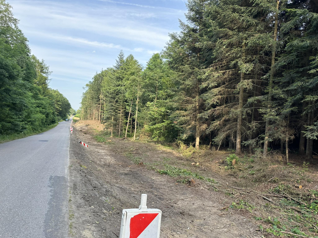Ścieżka pieszo-rowerowa w Kobylance