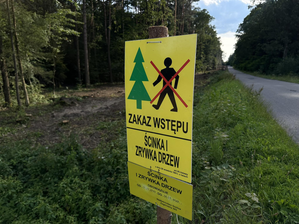 Ścieżka pieszo-rowerowa w Kobylance
