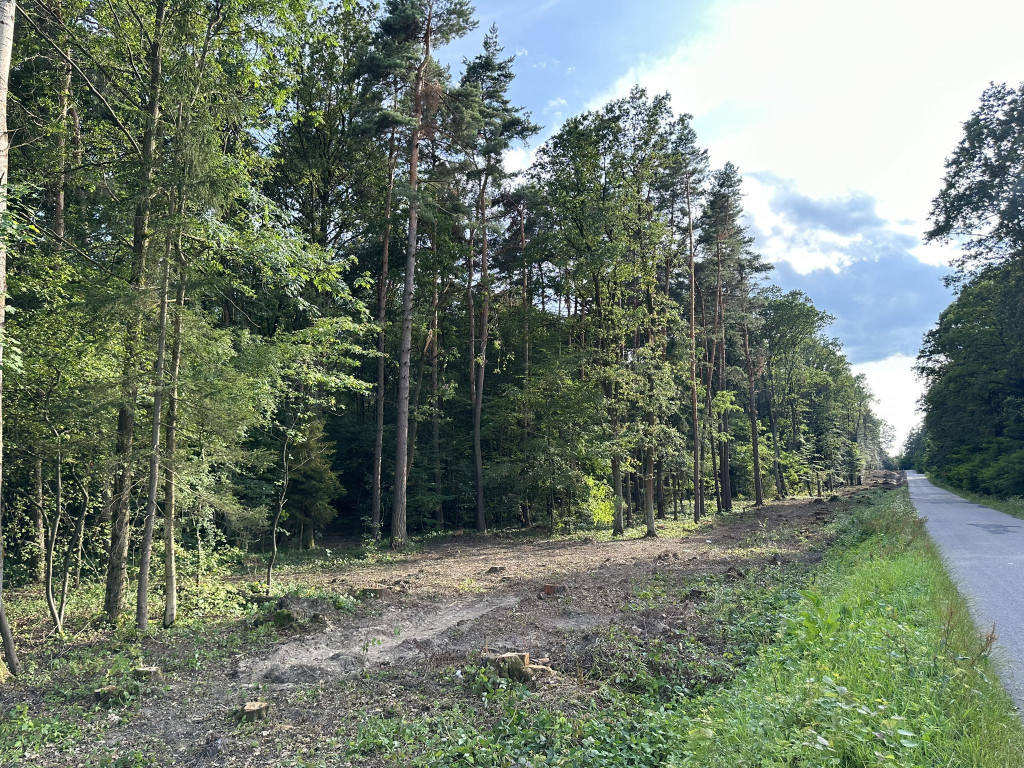 Ścieżka pieszo-rowerowa w Kobylance