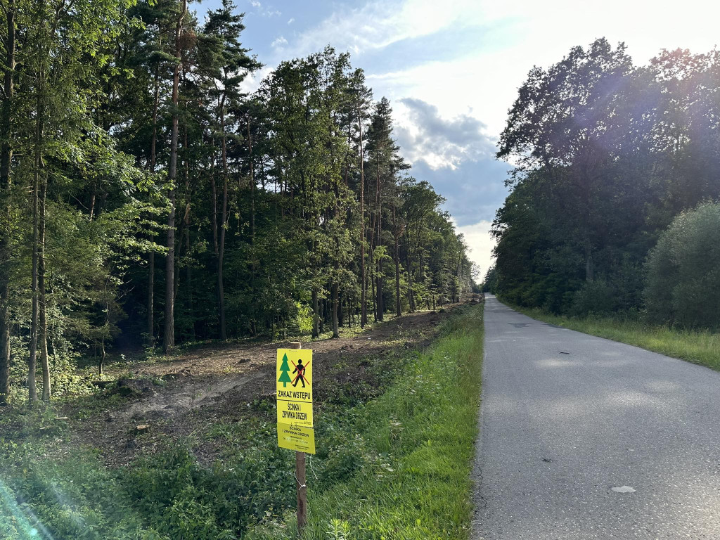 Ścieżka pieszo-rowerowa w Kobylance