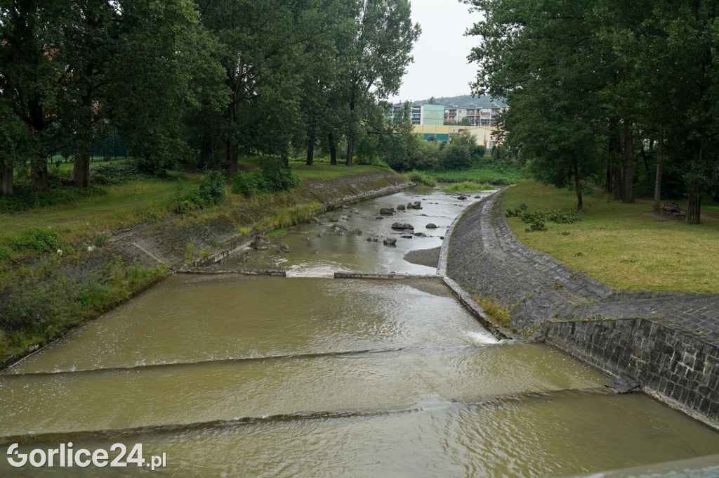 Wykoszone brzegi Sękówki