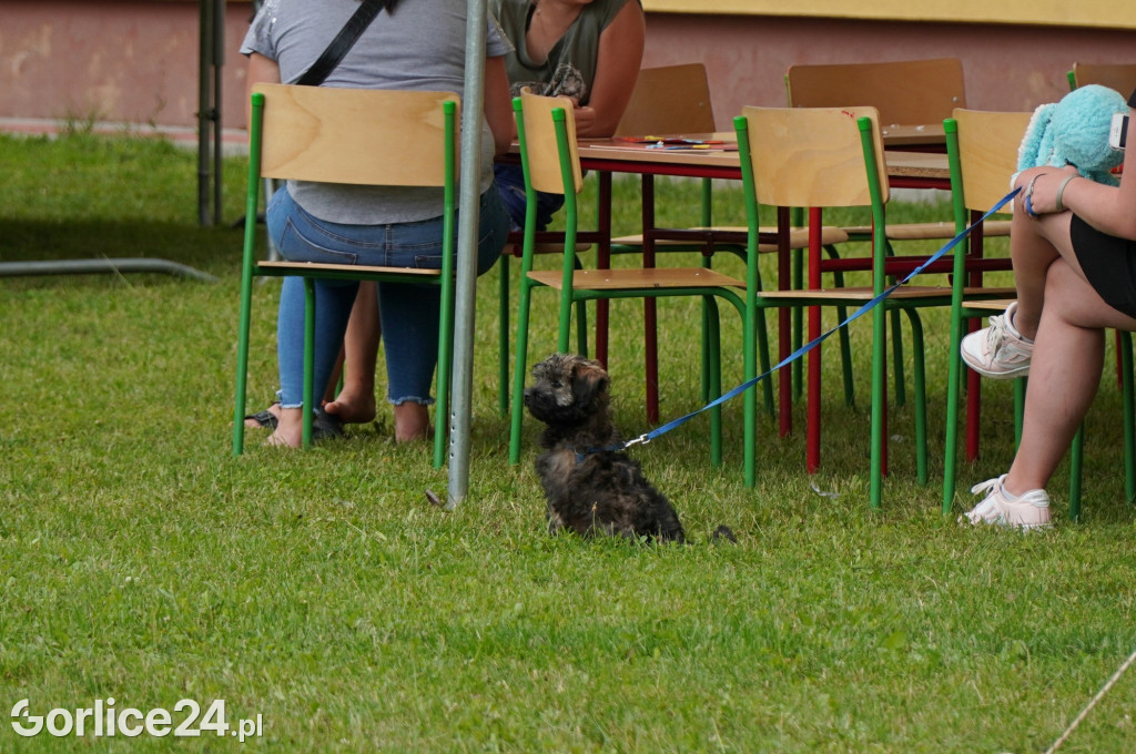 Tydzień Pozytywnych Inicjatyw MZS nr 5