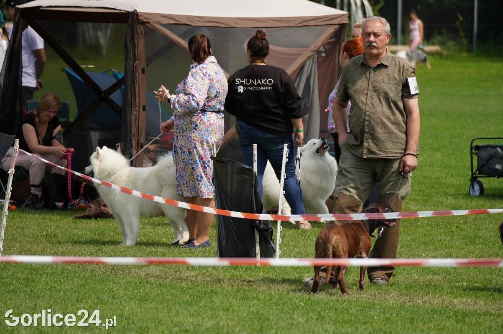 Wystawa psów rasowych - Gorlice 05.08.