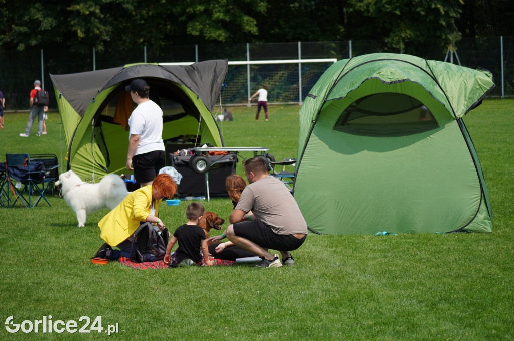 Wystawa psów rasowych - Gorlice 05.08.