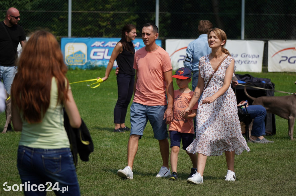 Wystawa psów rasowych - Gorlice 05.08.