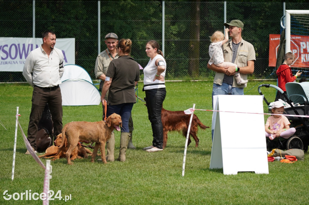 Wystawa psów rasowych - Gorlice 05.08.