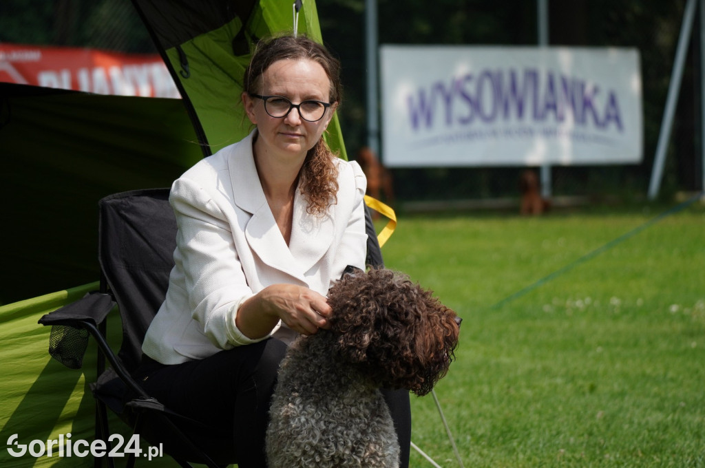 Wystawa psów rasowych - Gorlice 05.08.