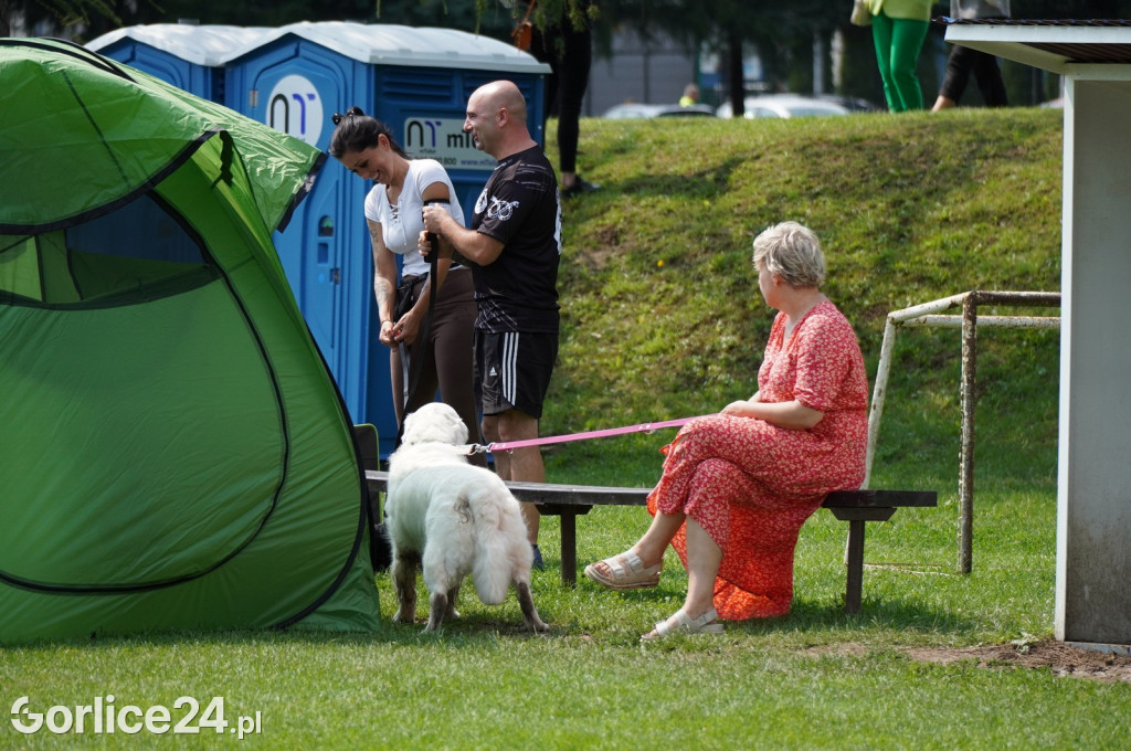 Wystawa psów rasowych - Gorlice 05.08.