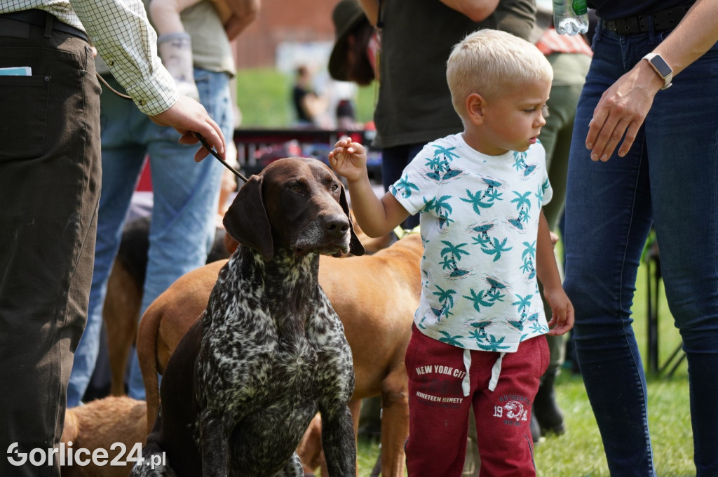 Wystawa psów rasowych - Gorlice 05.08.