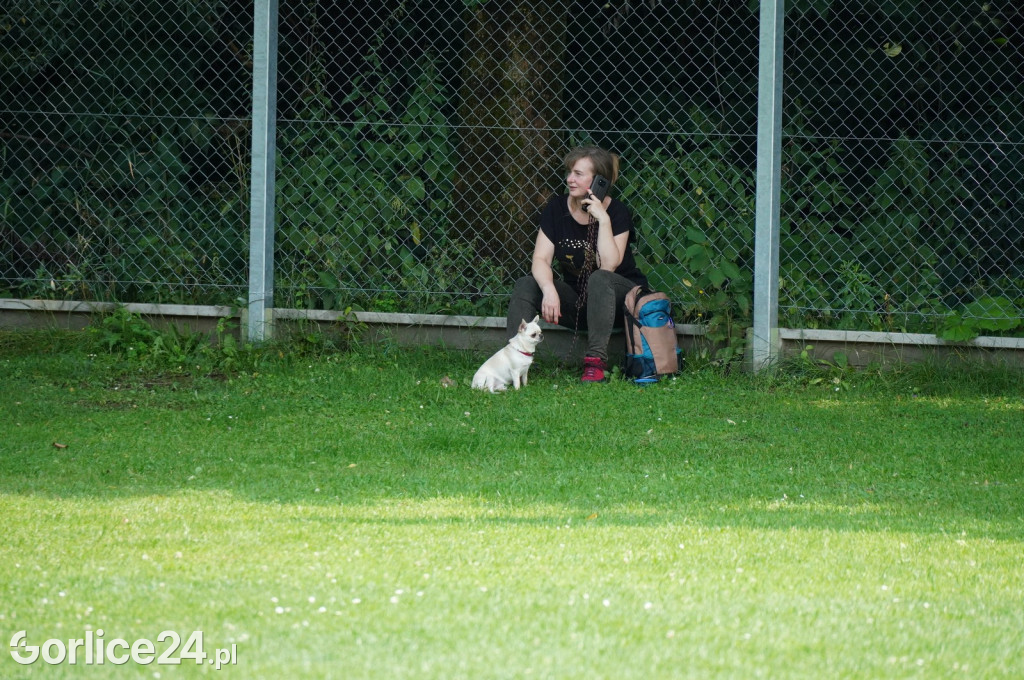 Wystawa psów rasowych - Gorlice 05.08.