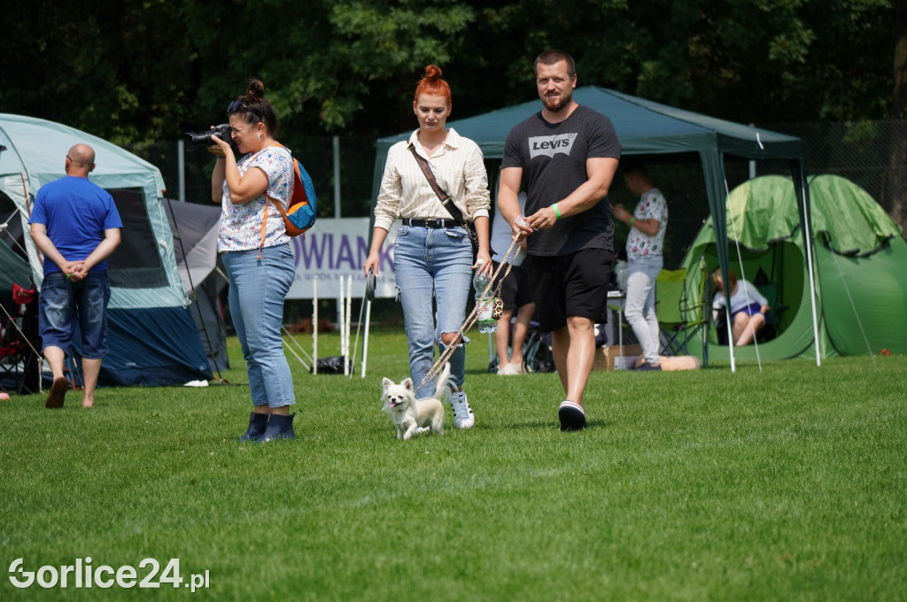 Wystawa psów rasowych - Gorlice 05.08.