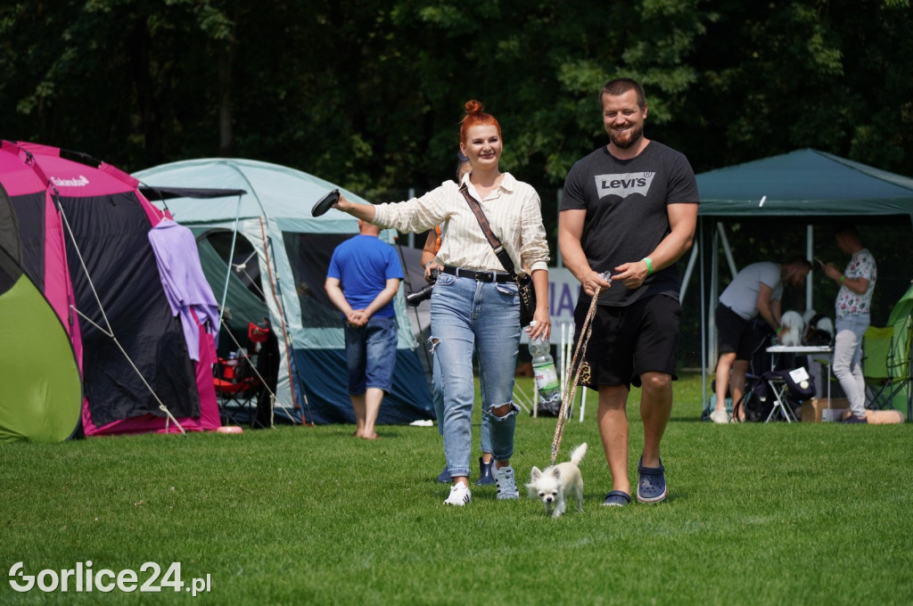 Wystawa psów rasowych - Gorlice 05.08.