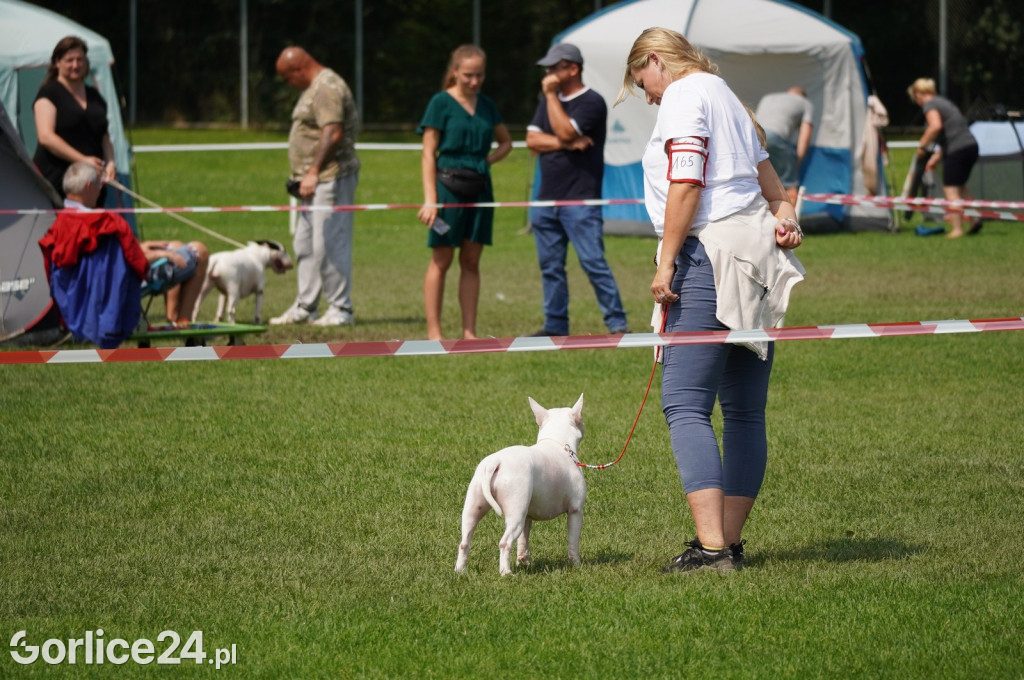 Wystawa psów rasowych - Gorlice 05.08.