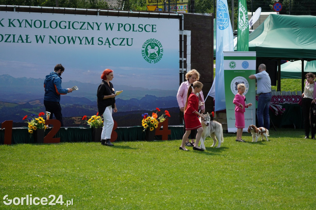 Wystawa psów rasowych - Gorlice 05.08.