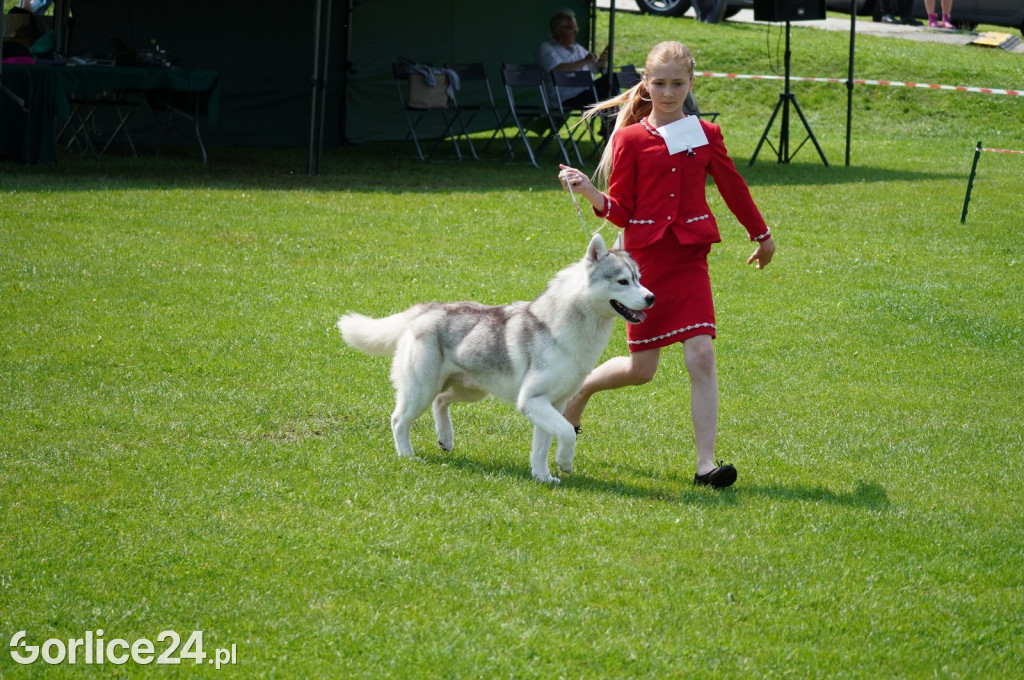 Wystawa psów rasowych - Gorlice 05.08.