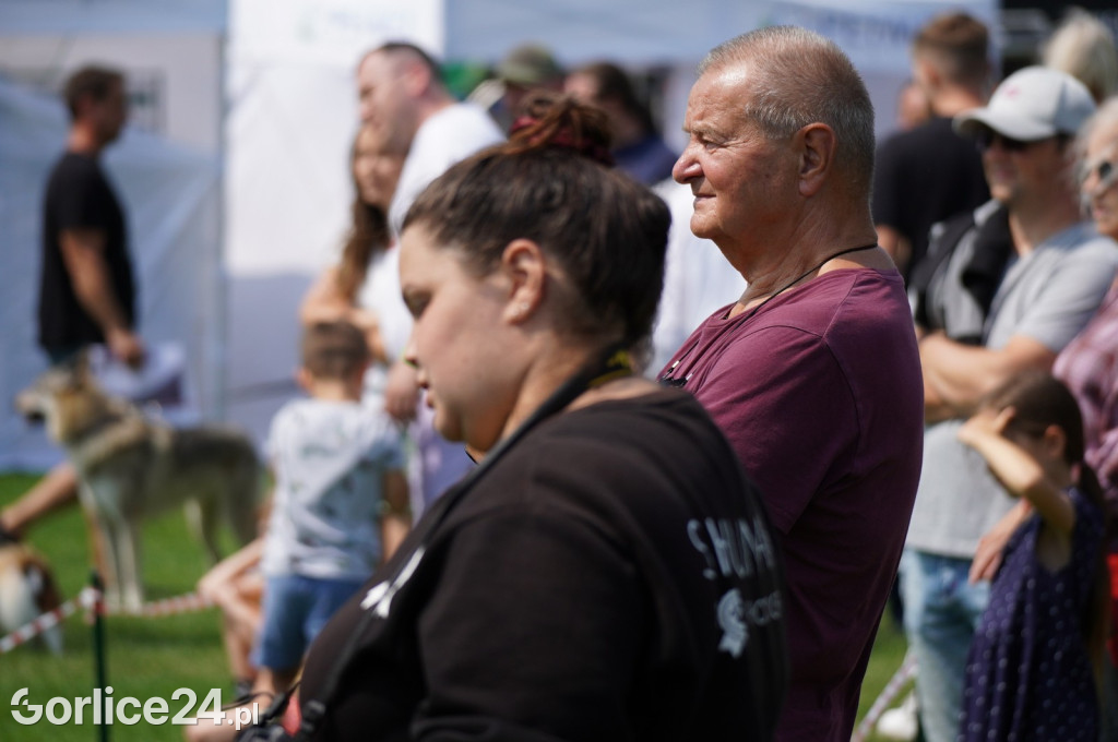 Wystawa psów rasowych - Gorlice 05.08.