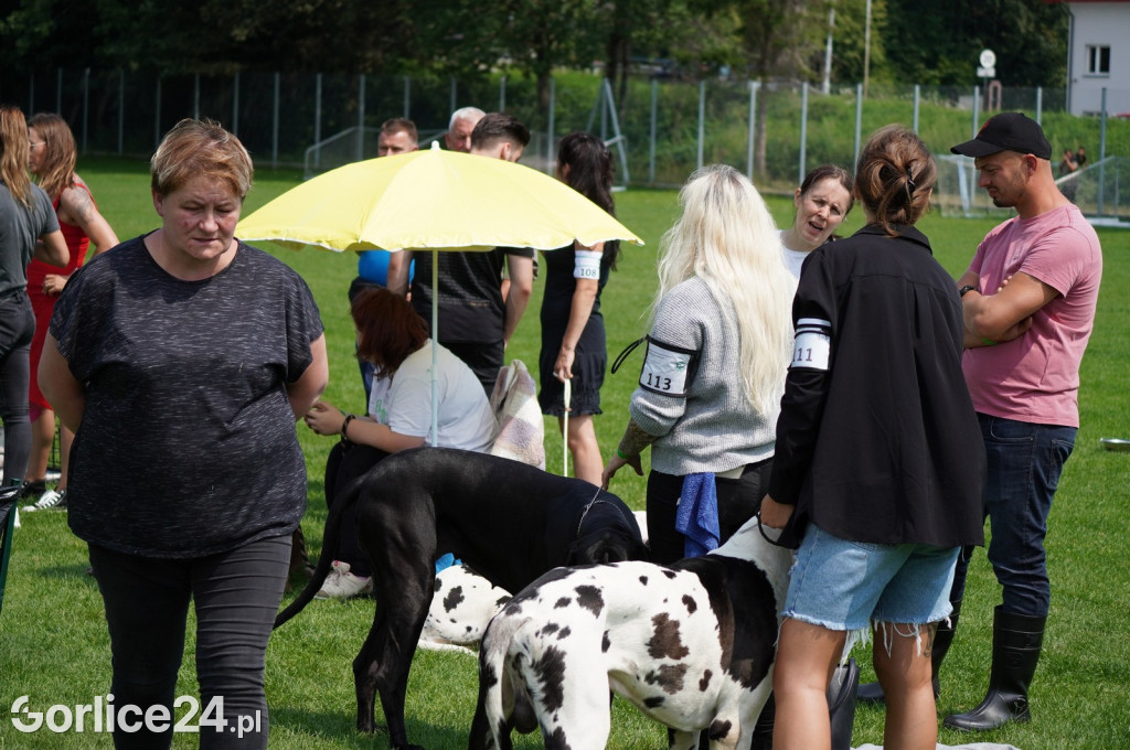 Wystawa psów rasowych - Gorlice 05.08.