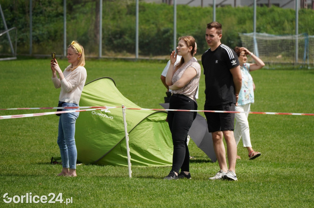 Krajowa Wystawa Psów Rasowych - niedziela (06.08.)