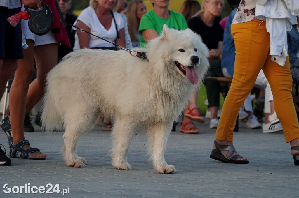 Festiwal Kultury Pogranicza Bobowa (12.08.)