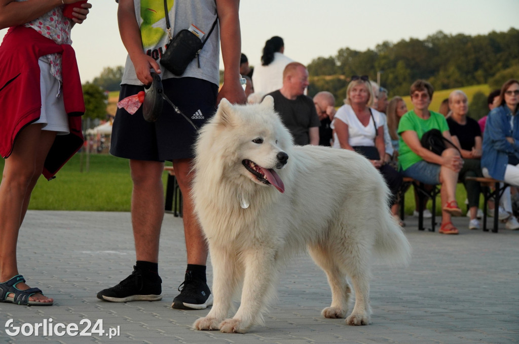 Festiwal Kultury Pogranicza Bobowa (12.08.)