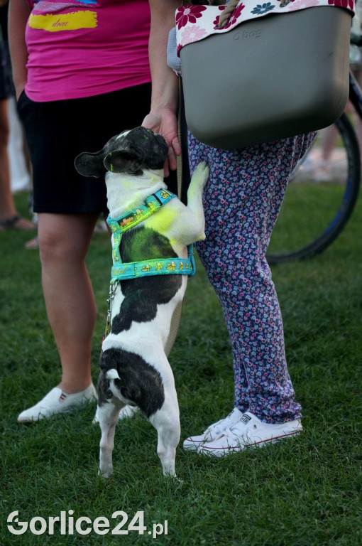 Festiwal Kolorów - koncerty Alizone i Matlane (13.08.)