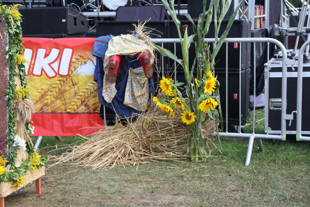 Festiwal Chleba w Sękowej