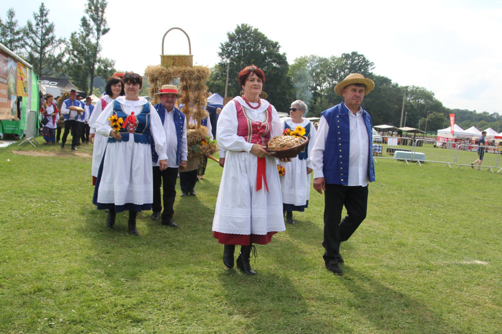 Festiwal Chleba w Sękowej