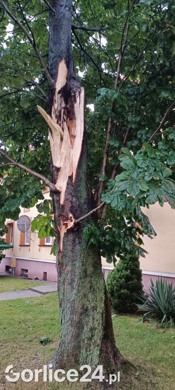 Skutki sobotniej nawałnicy (26.08.)