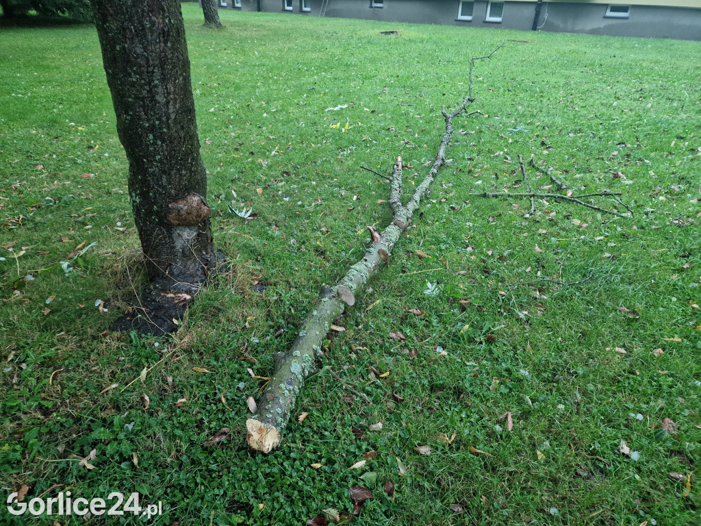 Skutki sobotniej nawałnicy (26.08.)