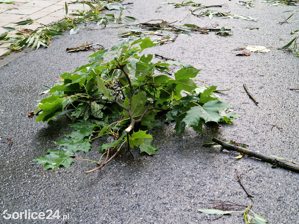 Skutki sobotniej nawałnicy (26.08.)