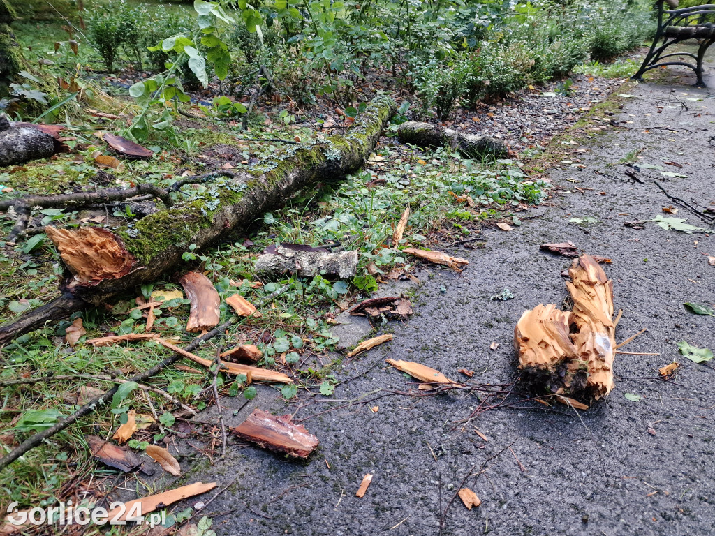 Skutki sobotniej nawałnicy (26.08.)
