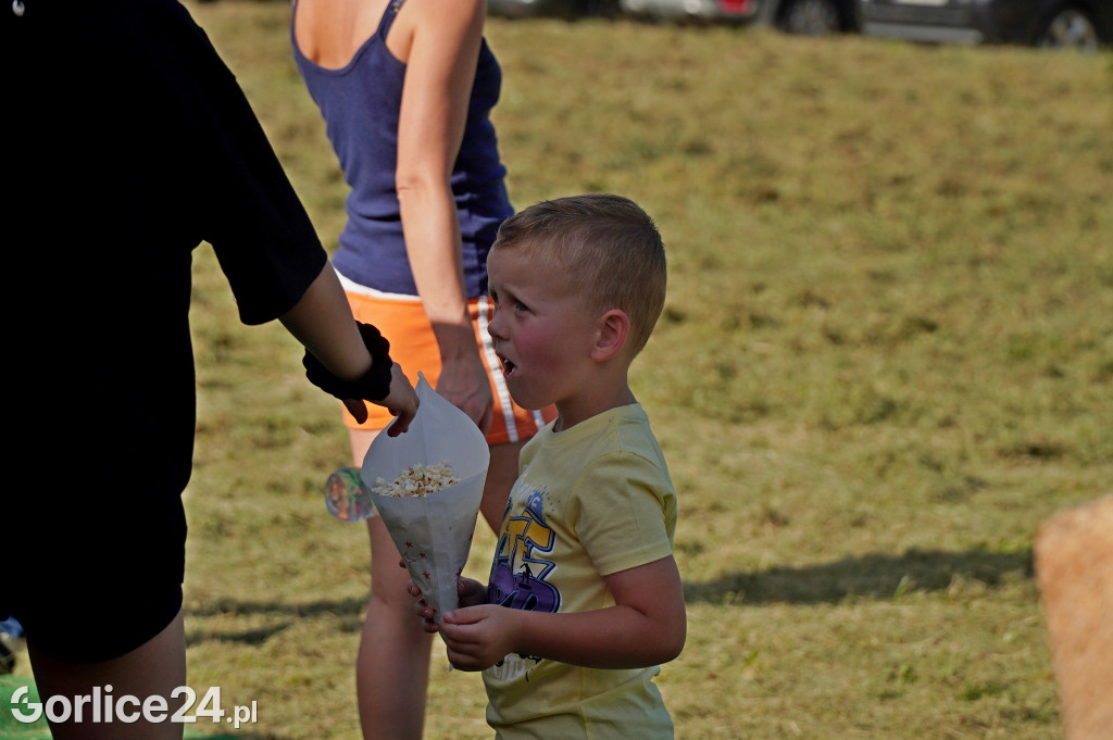 Festiwal Ziemniaka w Siarach