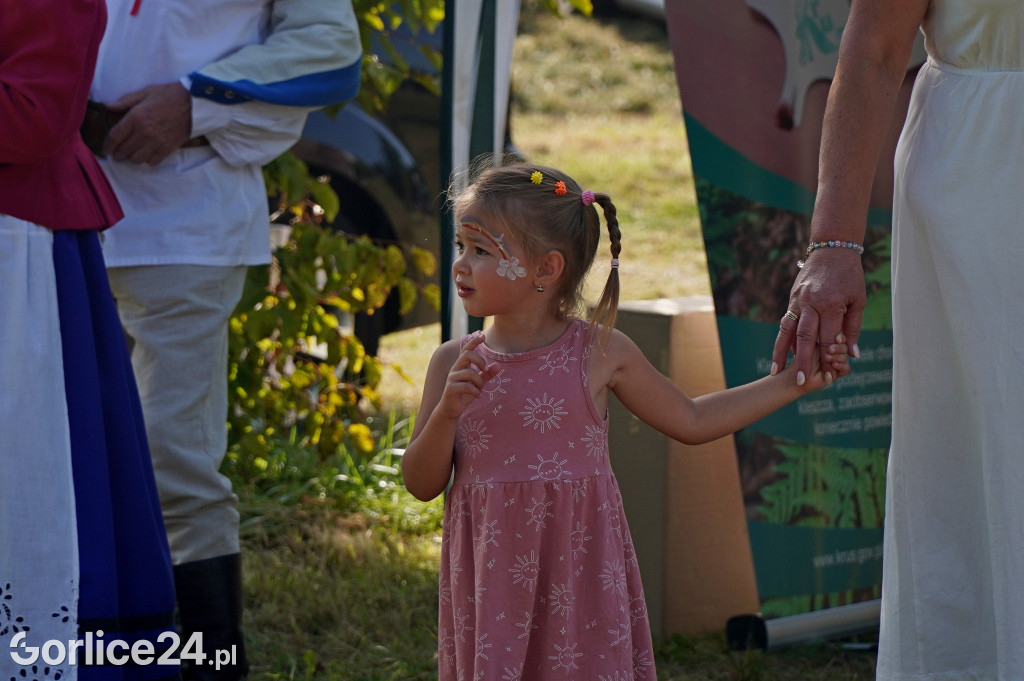 Festiwal Ziemniaka w Siarach
