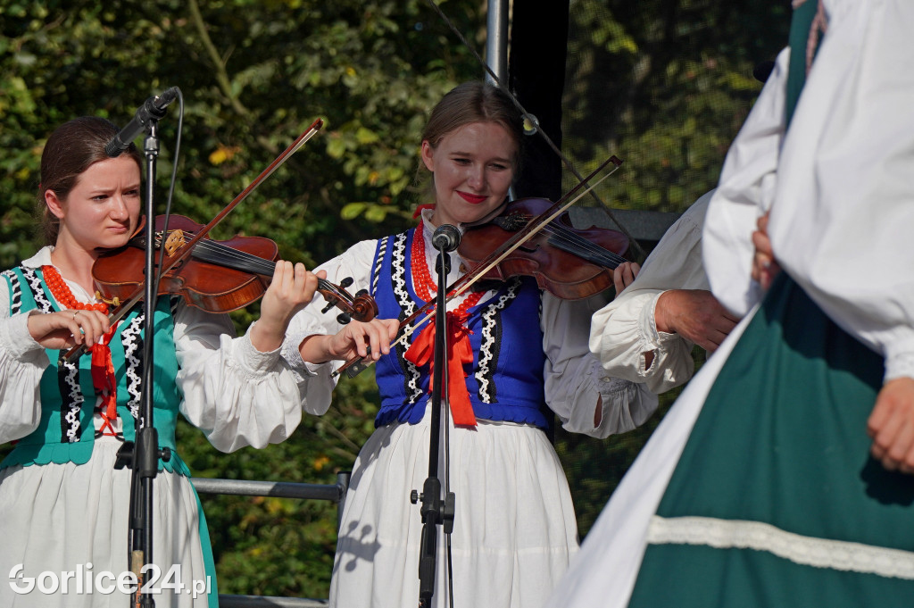 Festiwal Ziemniaka w Siarach