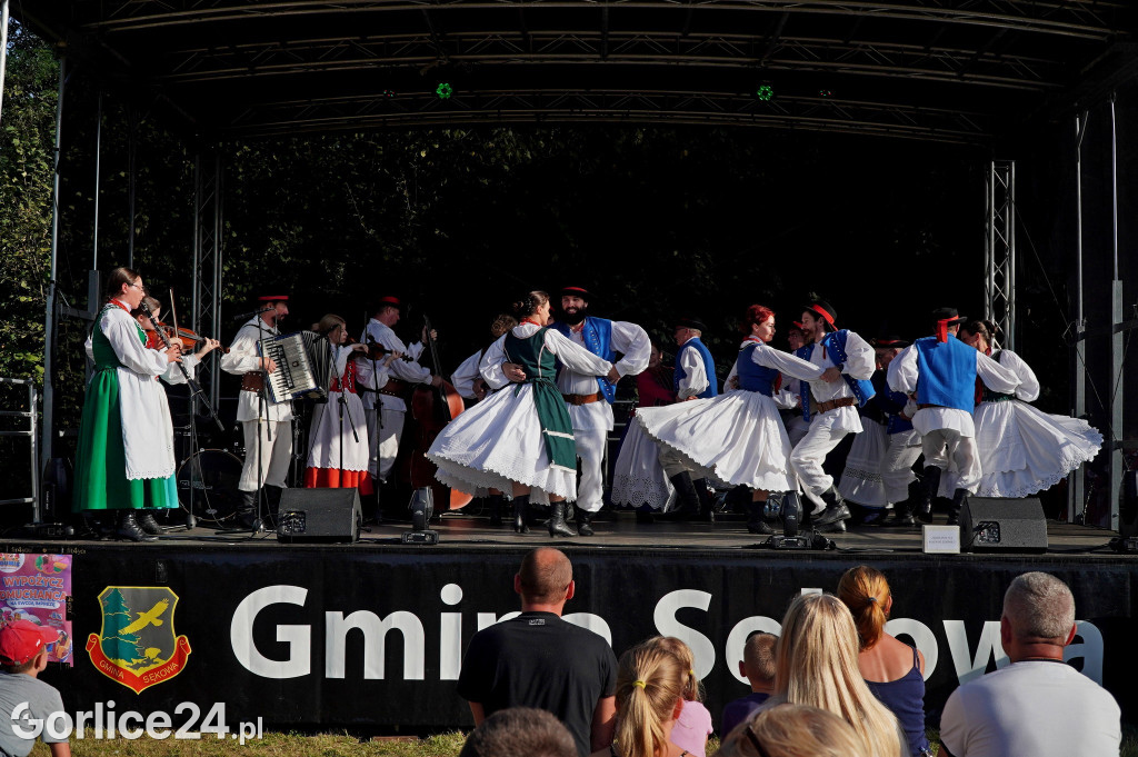 Festiwal Ziemniaka w Siarach