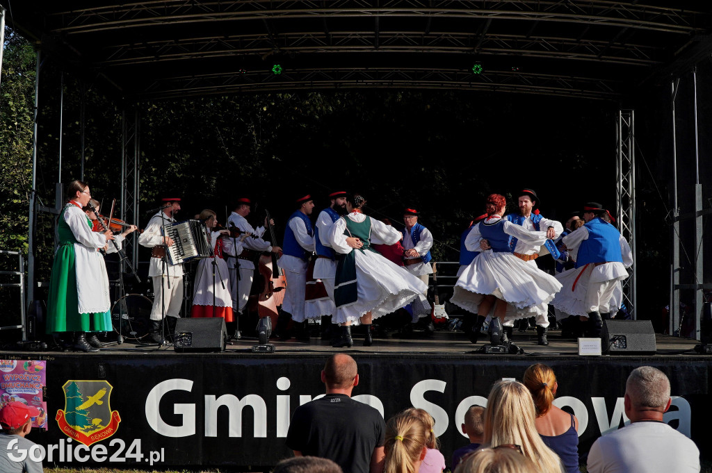 Festiwal Ziemniaka w Siarach
