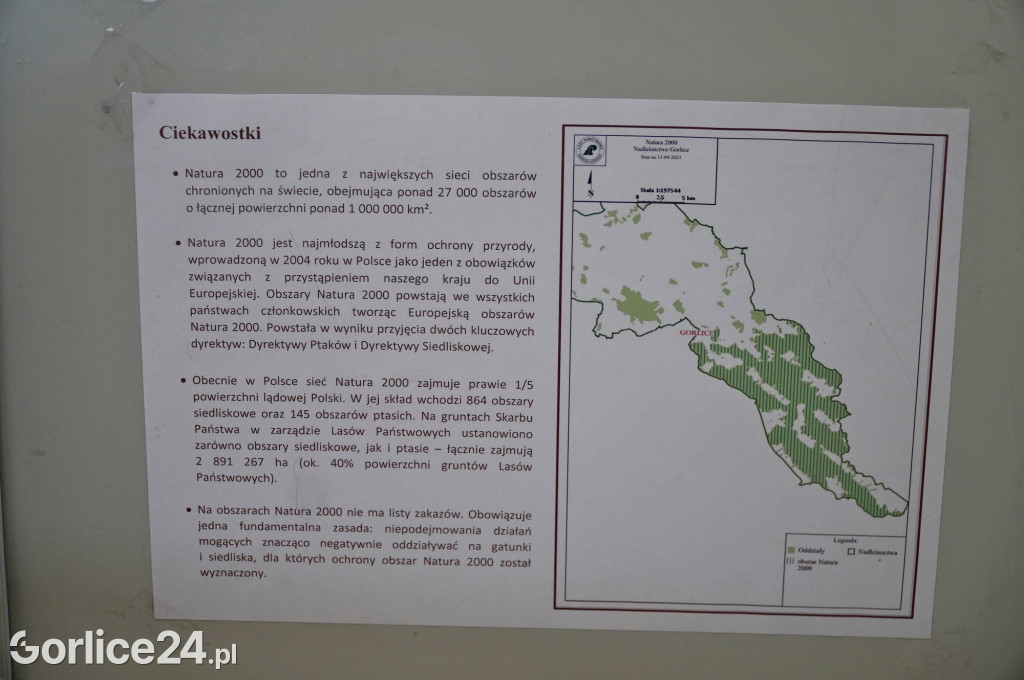 Rezerwat przyrody Jelenia Góra