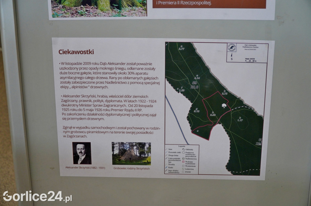 Rezerwat przyrody Jelenia Góra